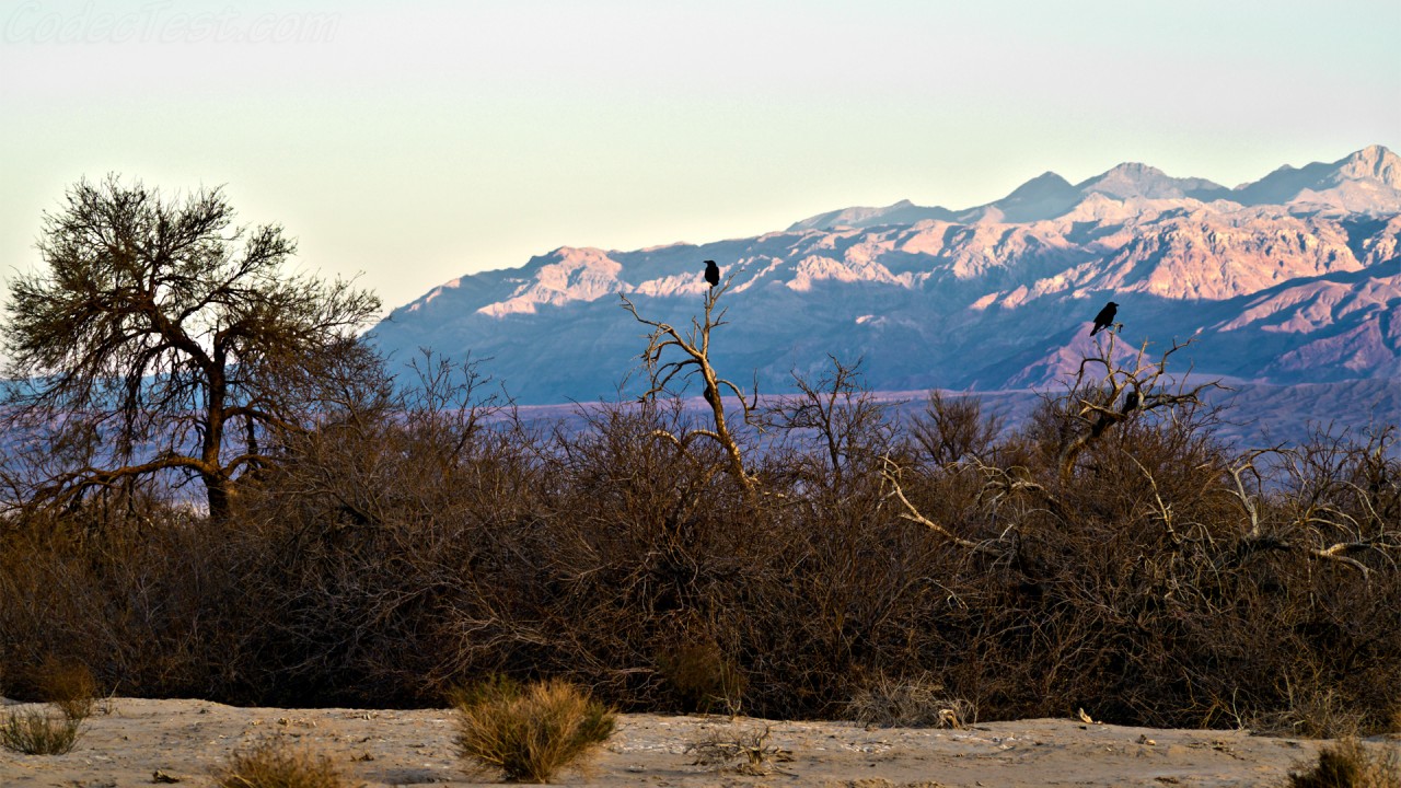 Death Valley campground